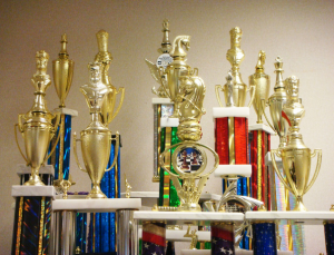 Chess club's trophies on display