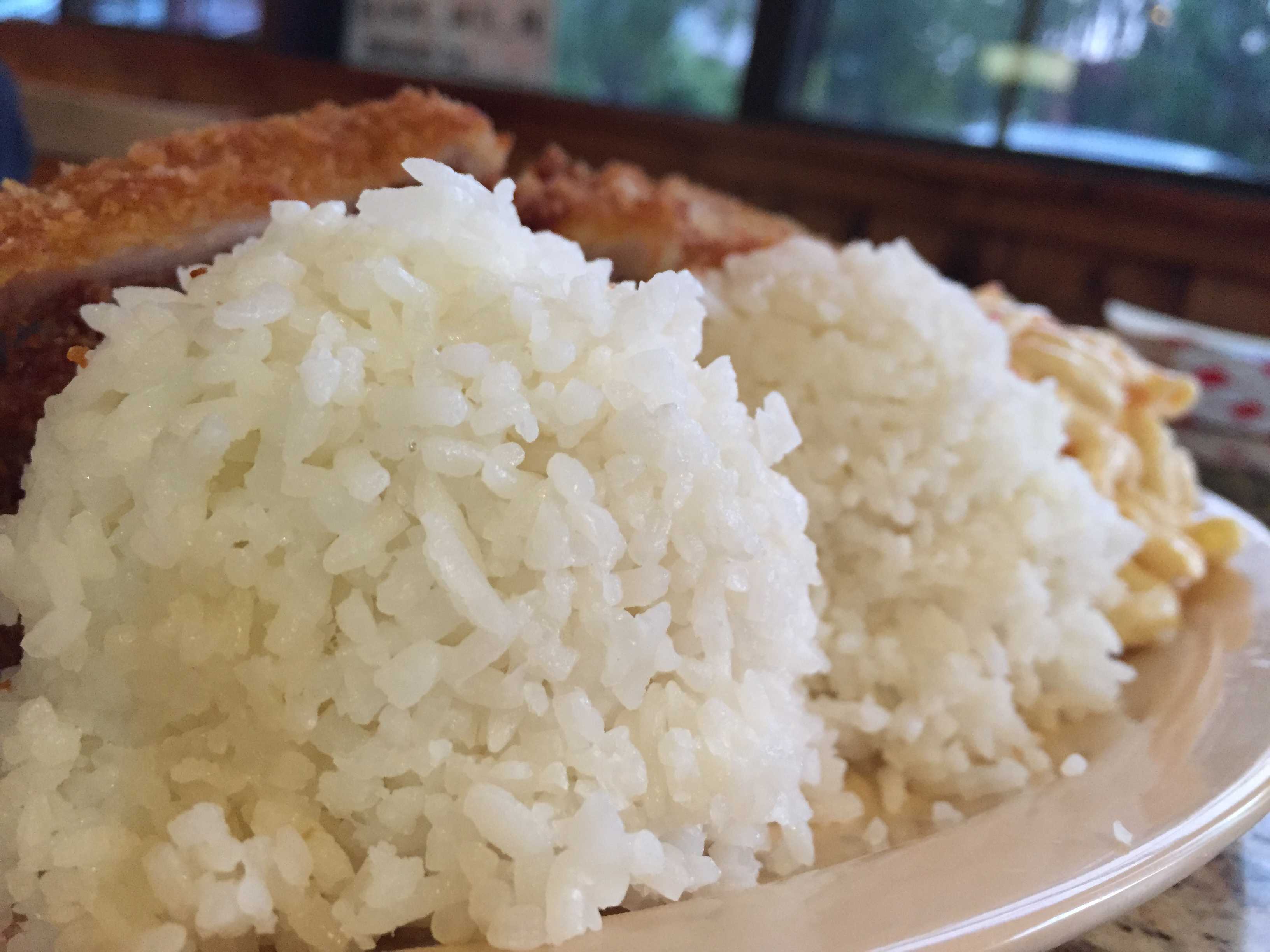 The chicken Katsu is served with generous portions of chicken and rice. Its price is quite low at $5.95. Photos by Caitlyn Tjong.