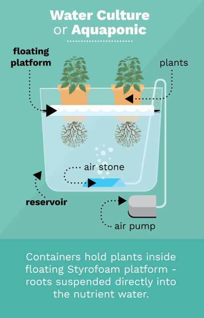 A simple diagram of one version of a hydroponic system, similar to the system Wang’s group is developing. The group did not wish to disclose images of their design due to the competitive nature of the field. Graphic from Fix.