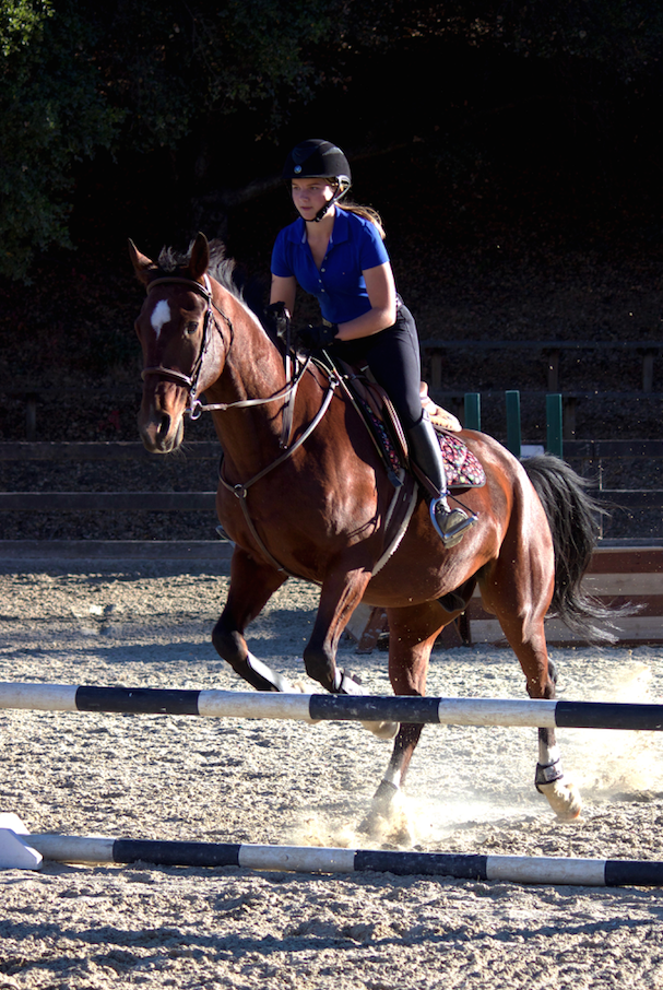 Junior Ebba Westelius rides her horse, Bojack, at the monthly IEA meeting. She practices her jumps and walks along with other riders.