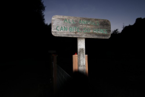 A danger sign off to the side of the path. “For families, children ages 4-12” (Hidden Villa). Photo by Dylan Tsai.