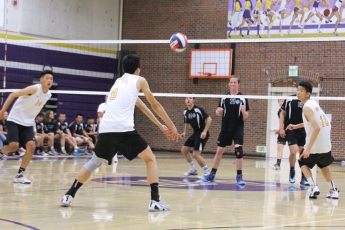 Junior Alex Li prepares to pass the ball to junior Eric Zhang. MVHS' defense was consistent for all four sets against DVHS on May 28. Photo by Christine Liang. 